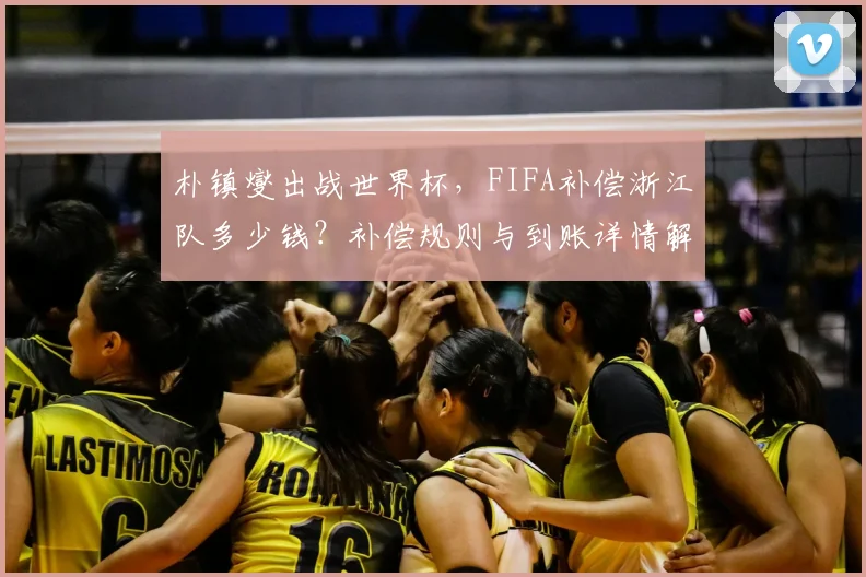朴镇燮出战世界杯,FIFA补偿浙江队多少钱?补偿规则与到账详情解读