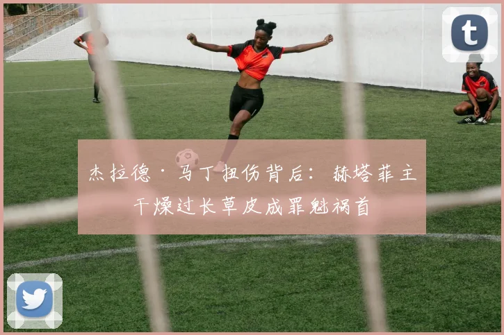 杰拉德·马丁扭伤背后:赫塔菲主场干燥过长草皮成罪魁祸首
