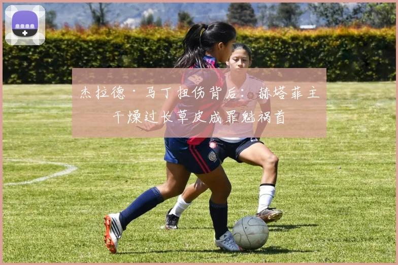 杰拉德·马丁扭伤背后:赫塔菲主场干燥过长草皮成罪魁祸首
